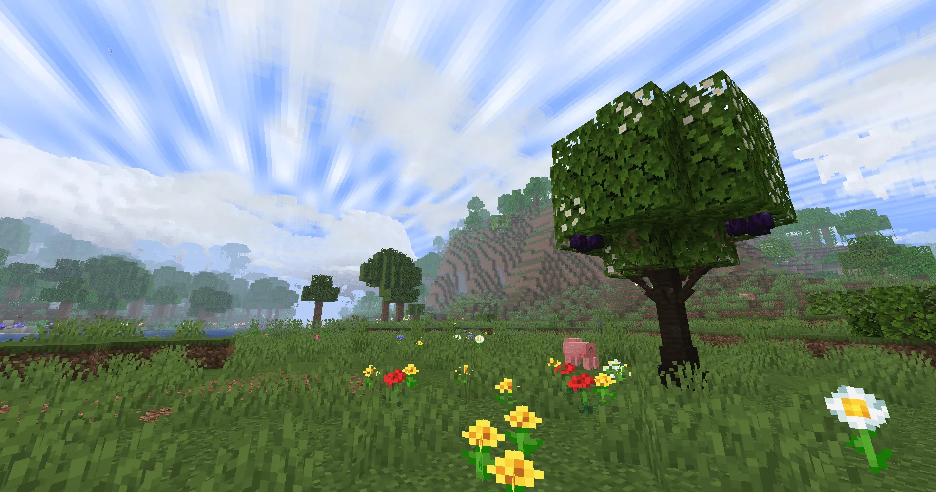 VietNam Delight (A Farmer's Delight Add-on), Моды, Minecraft