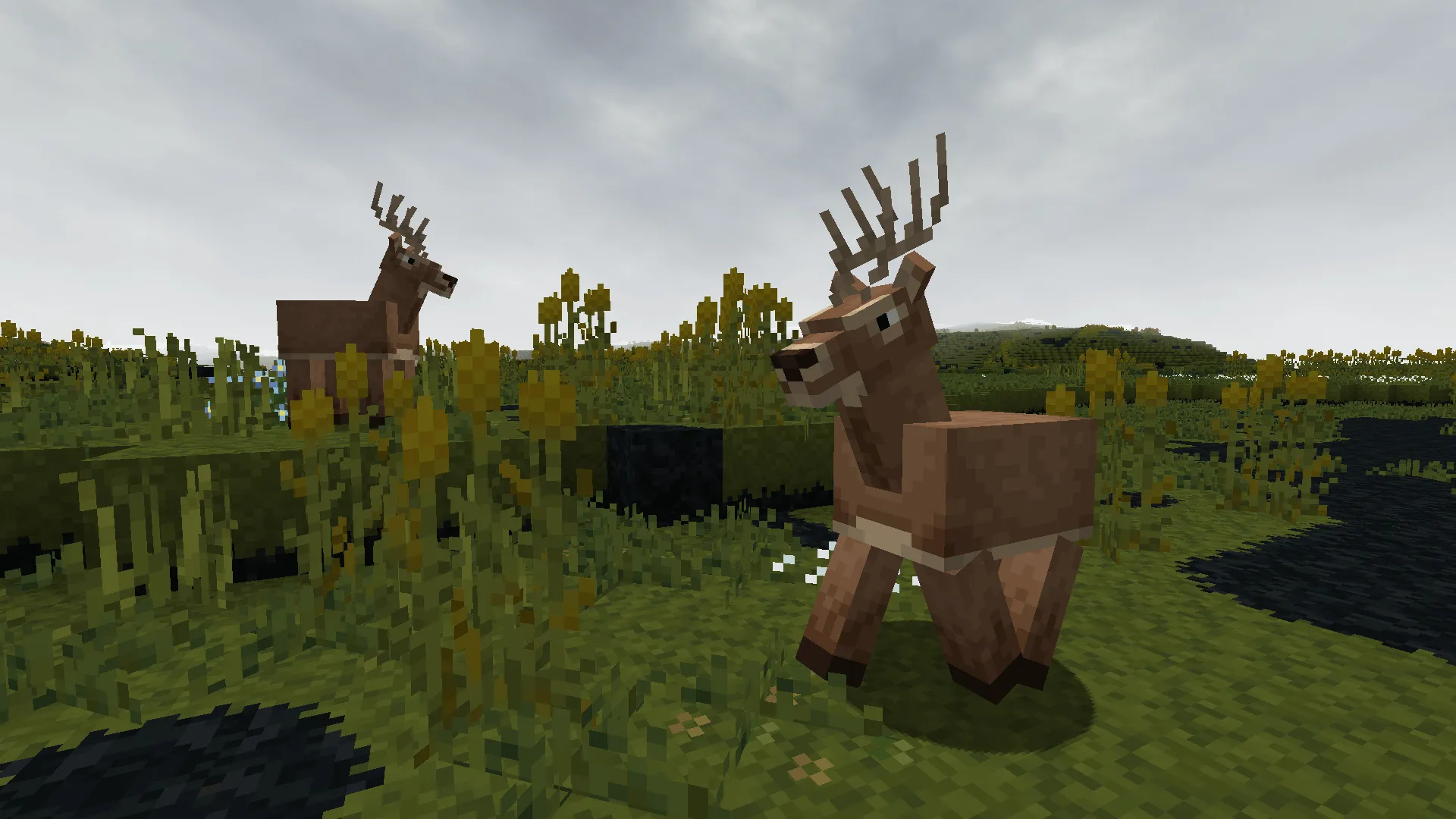 Ender Stranding — скриншот 2 (Текстуры, Minecraft)