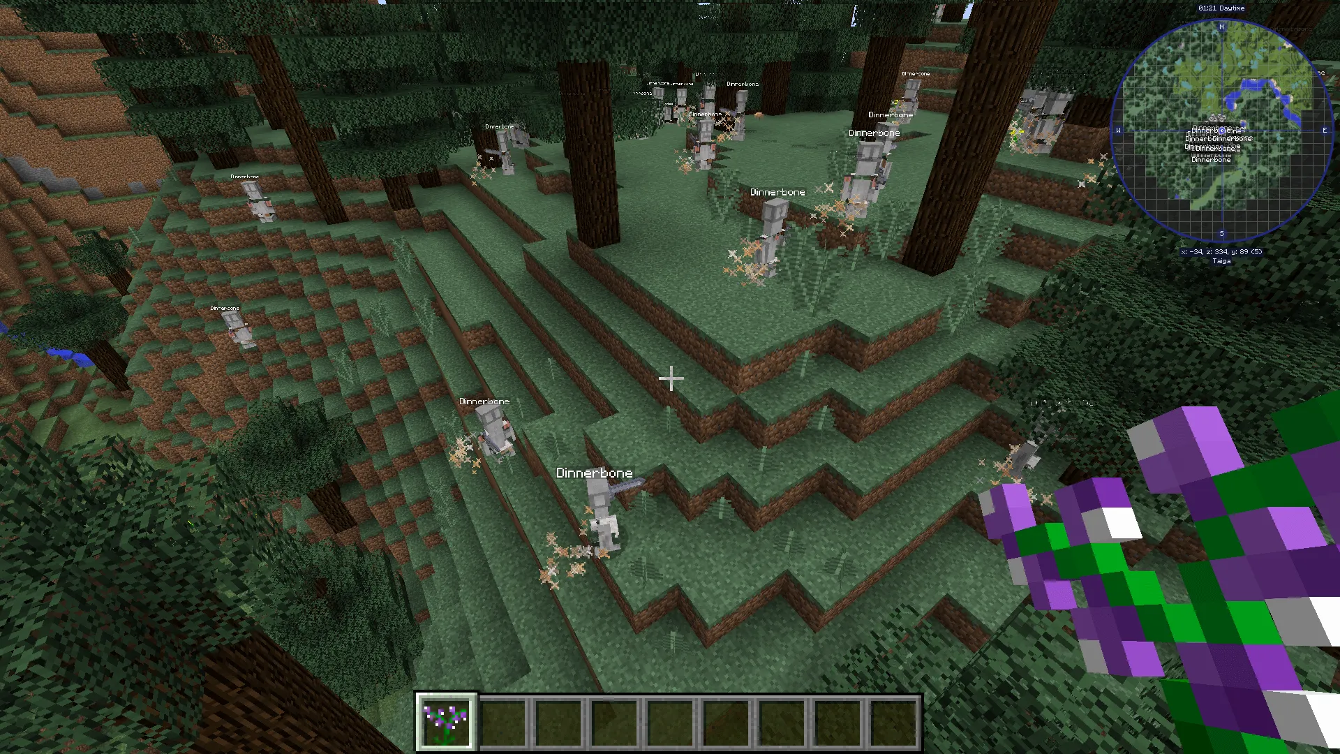 Captain's Wolves, Моды, Minecraft
