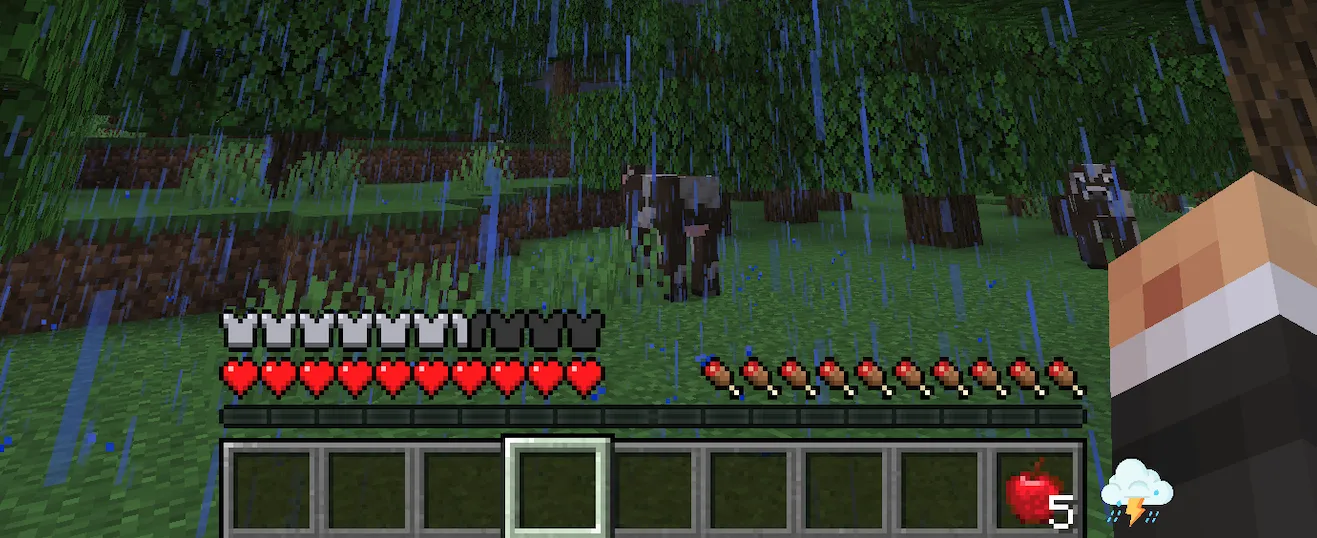 WeatherDisplay, Моды, Minecraft