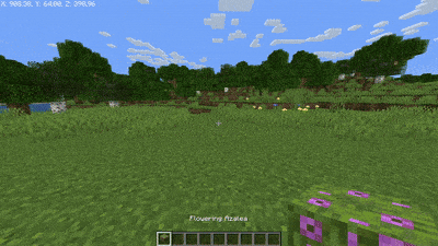 Smart Seeds, Дата-паки, Minecraft