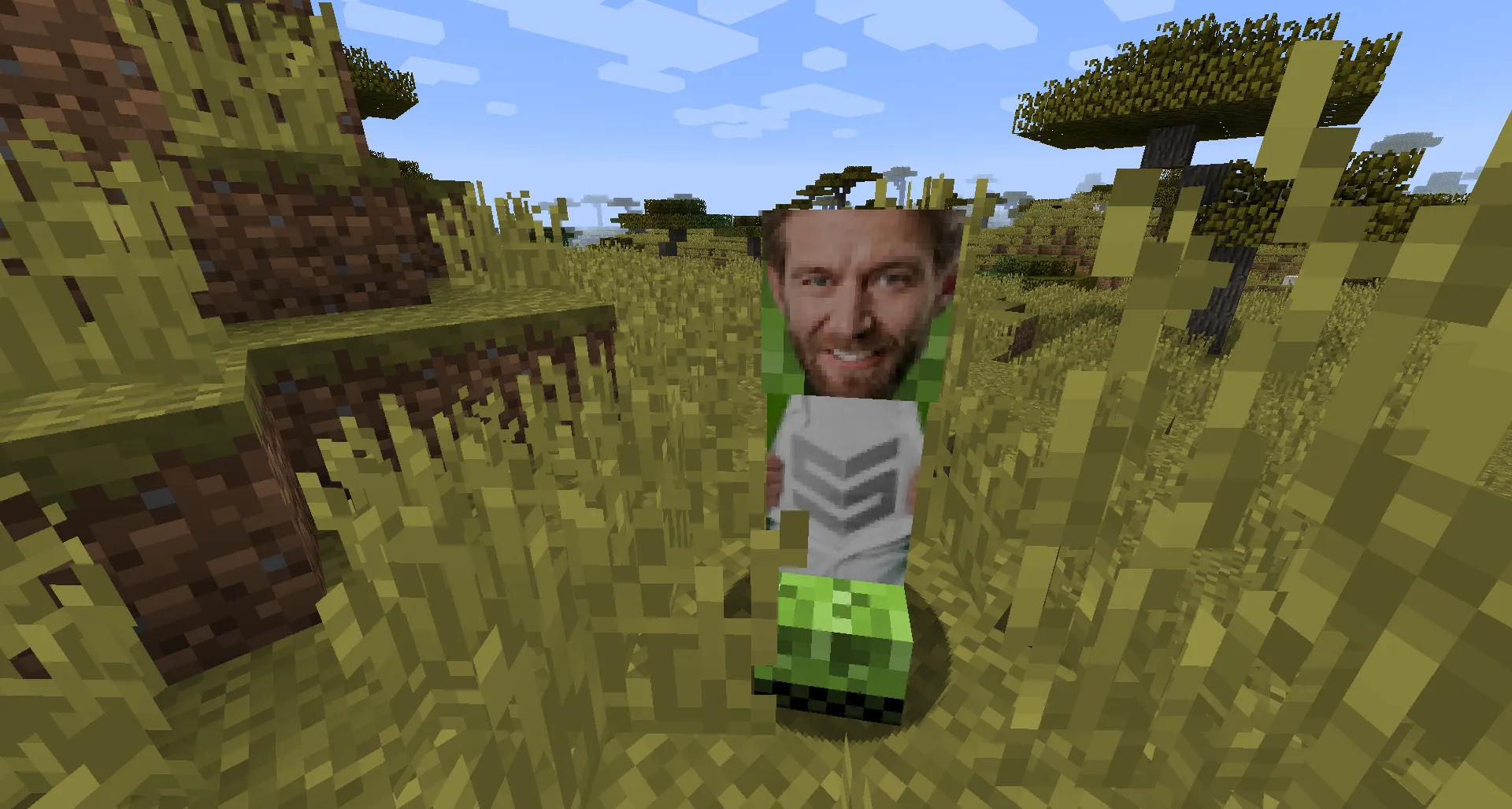 Smava Creepers — скриншот 1 (Моды, Minecraft)