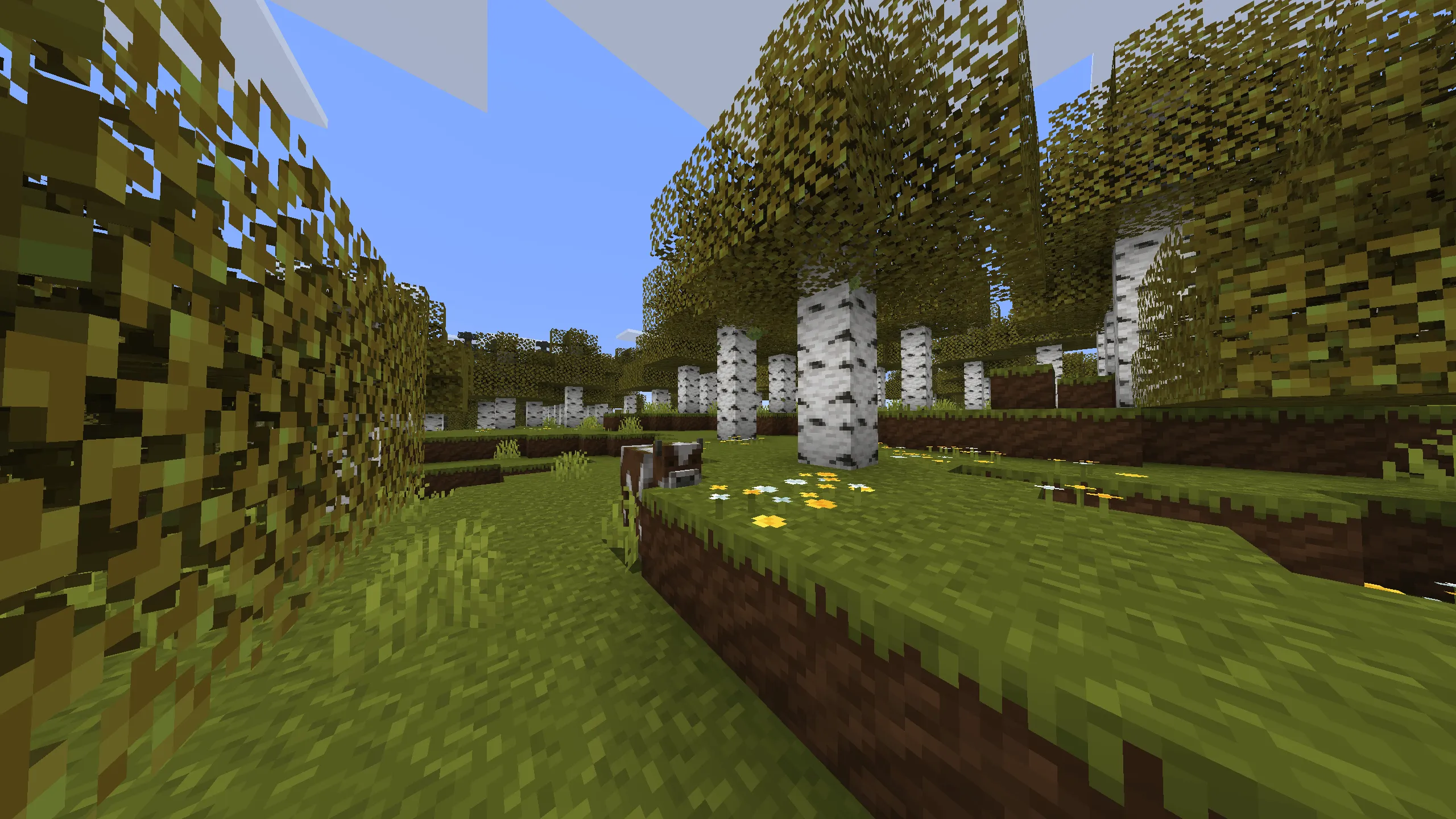 Cube's Craft, Текстуры, Minecraft