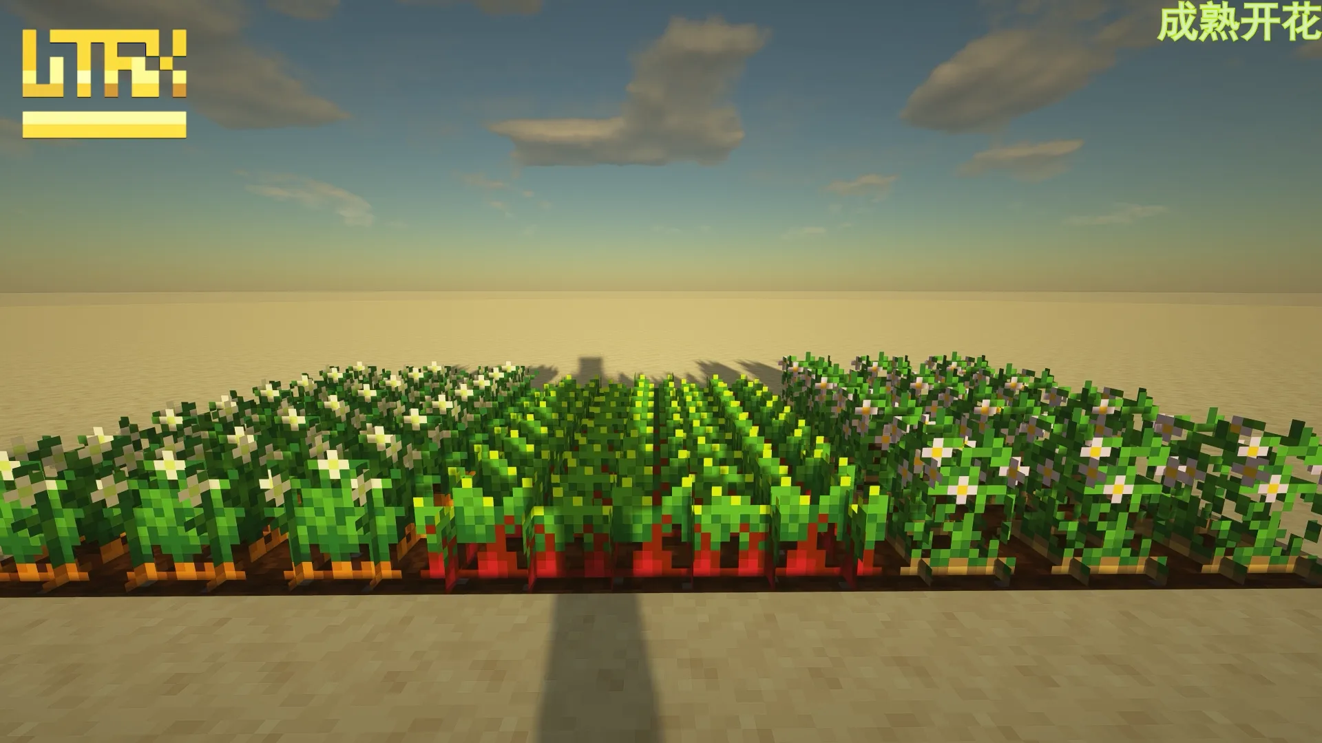 LiT-FiX点亮细节 — скриншот 4 (Текстуры, Minecraft)