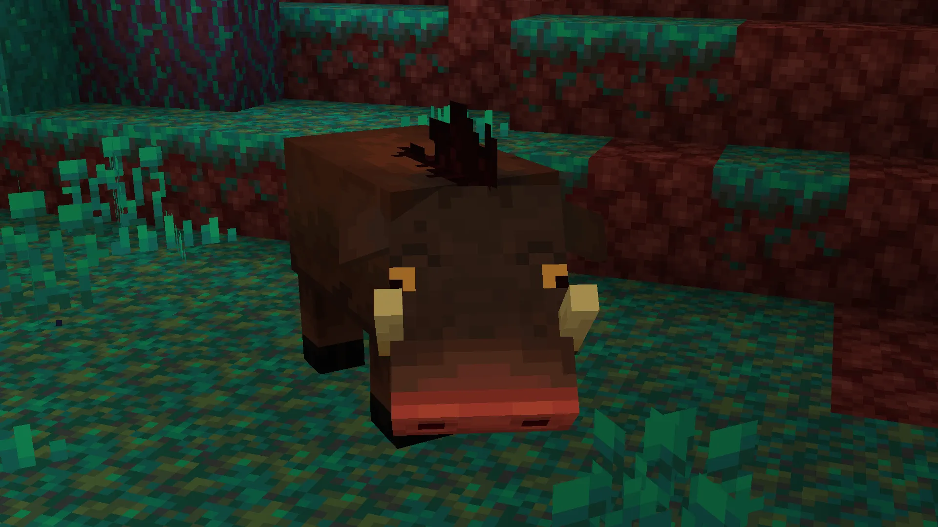 The Big Bad Boar, Текстуры, Minecraft