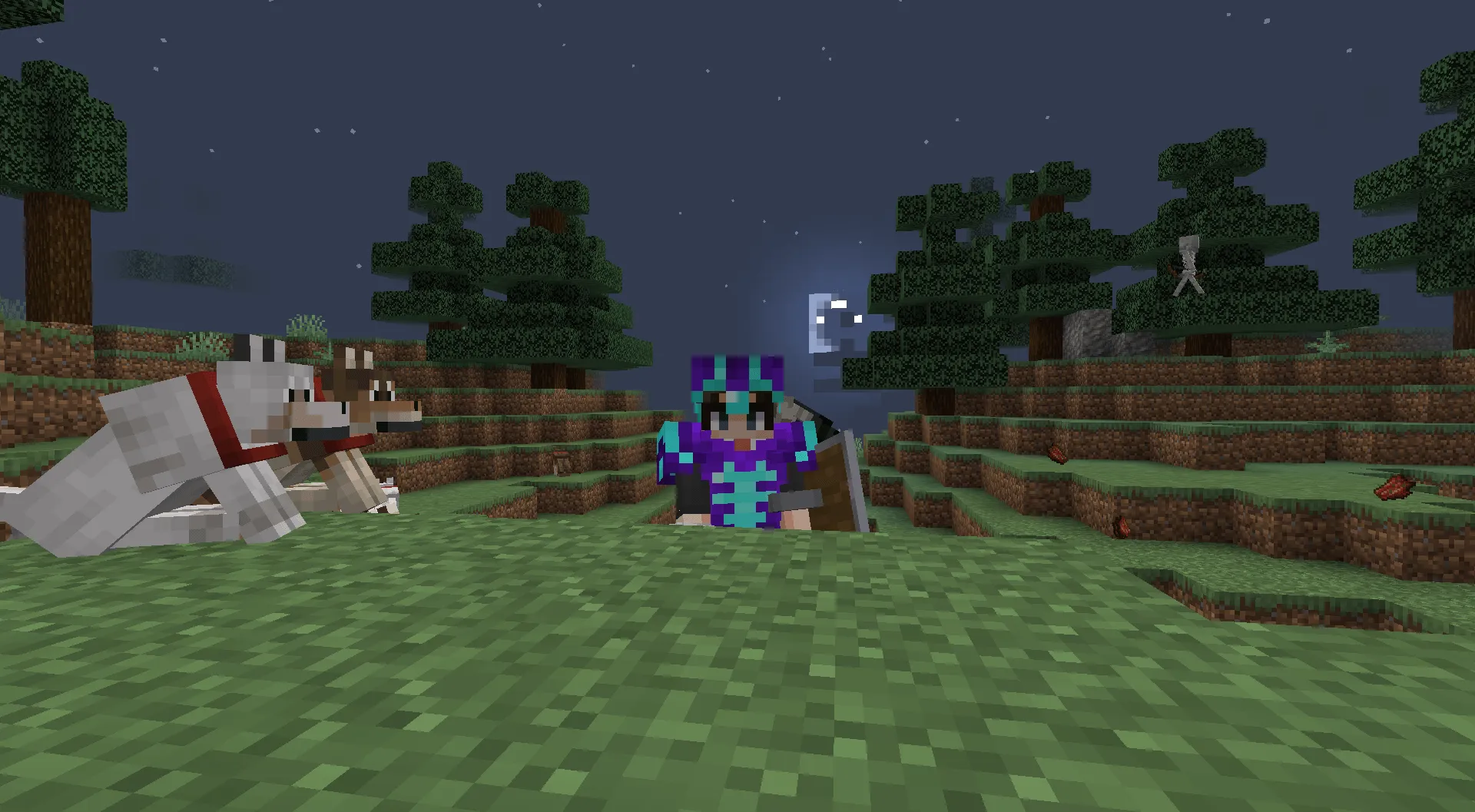 CoolsRCP, Текстуры, Minecraft
