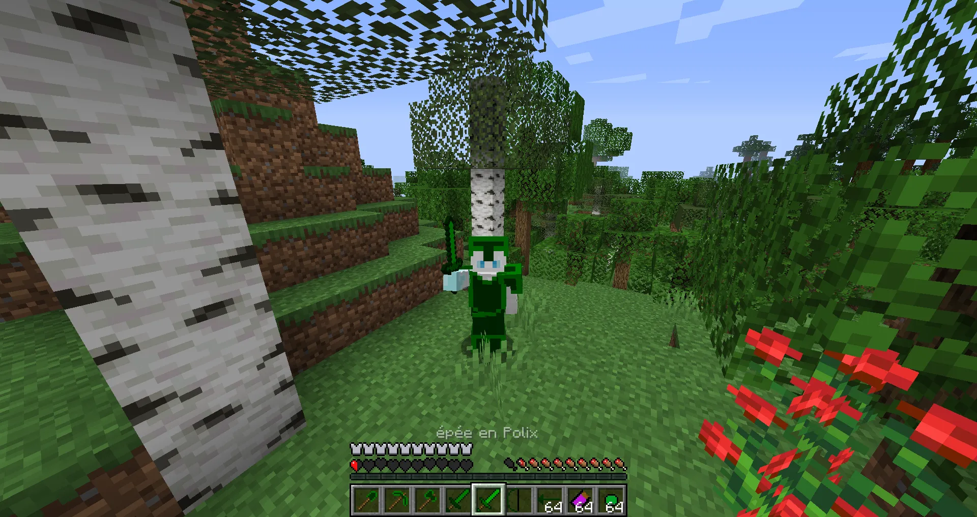 Palix, Моды, Minecraft