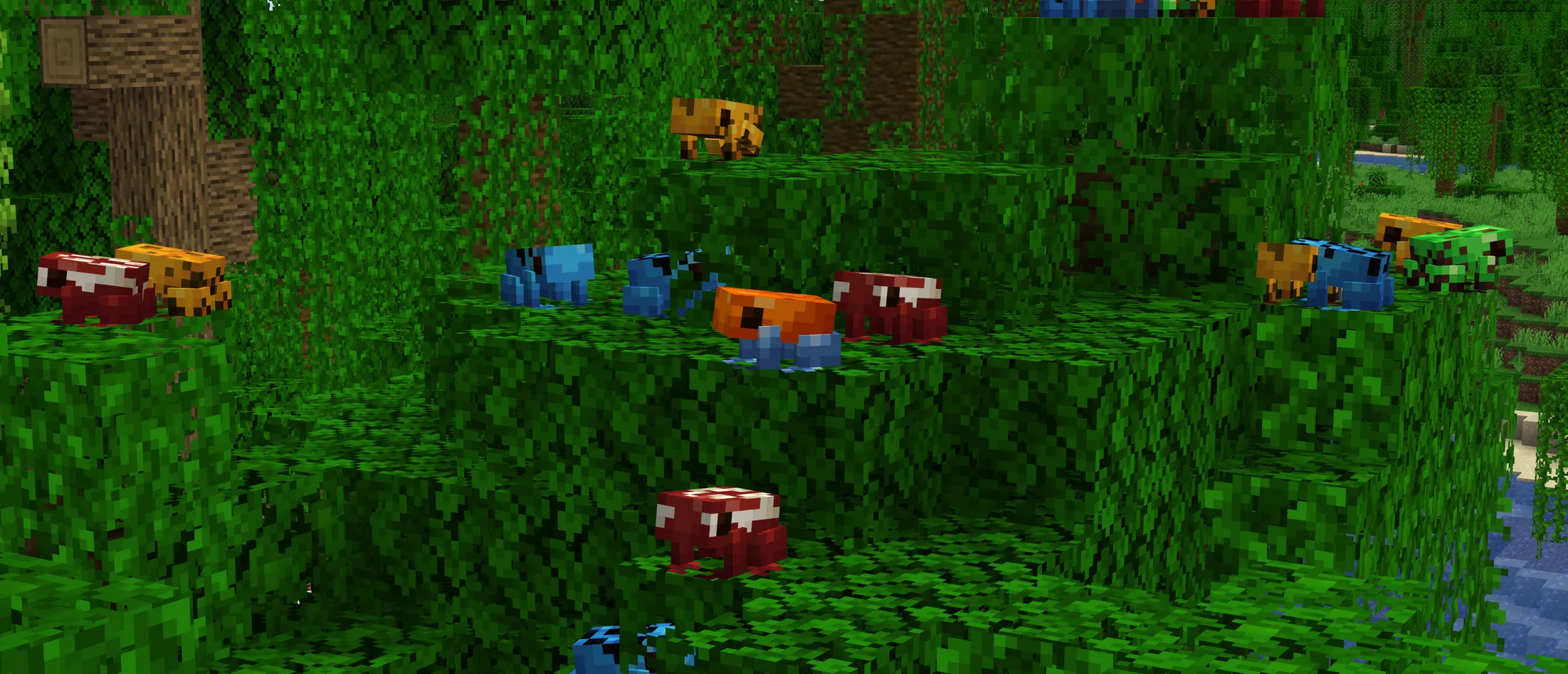 Poison Dart Frogs, Текстуры, Minecraft