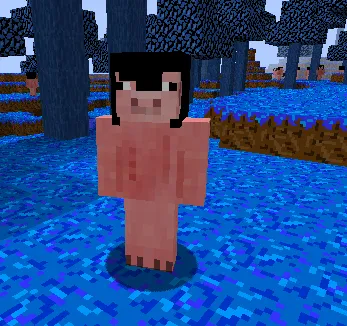 Silent Valkyrie, Моды, Minecraft