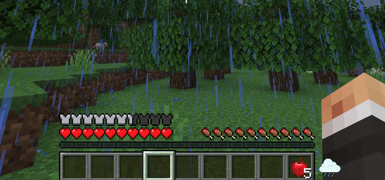 WeatherDisplay, Моды, Minecraft