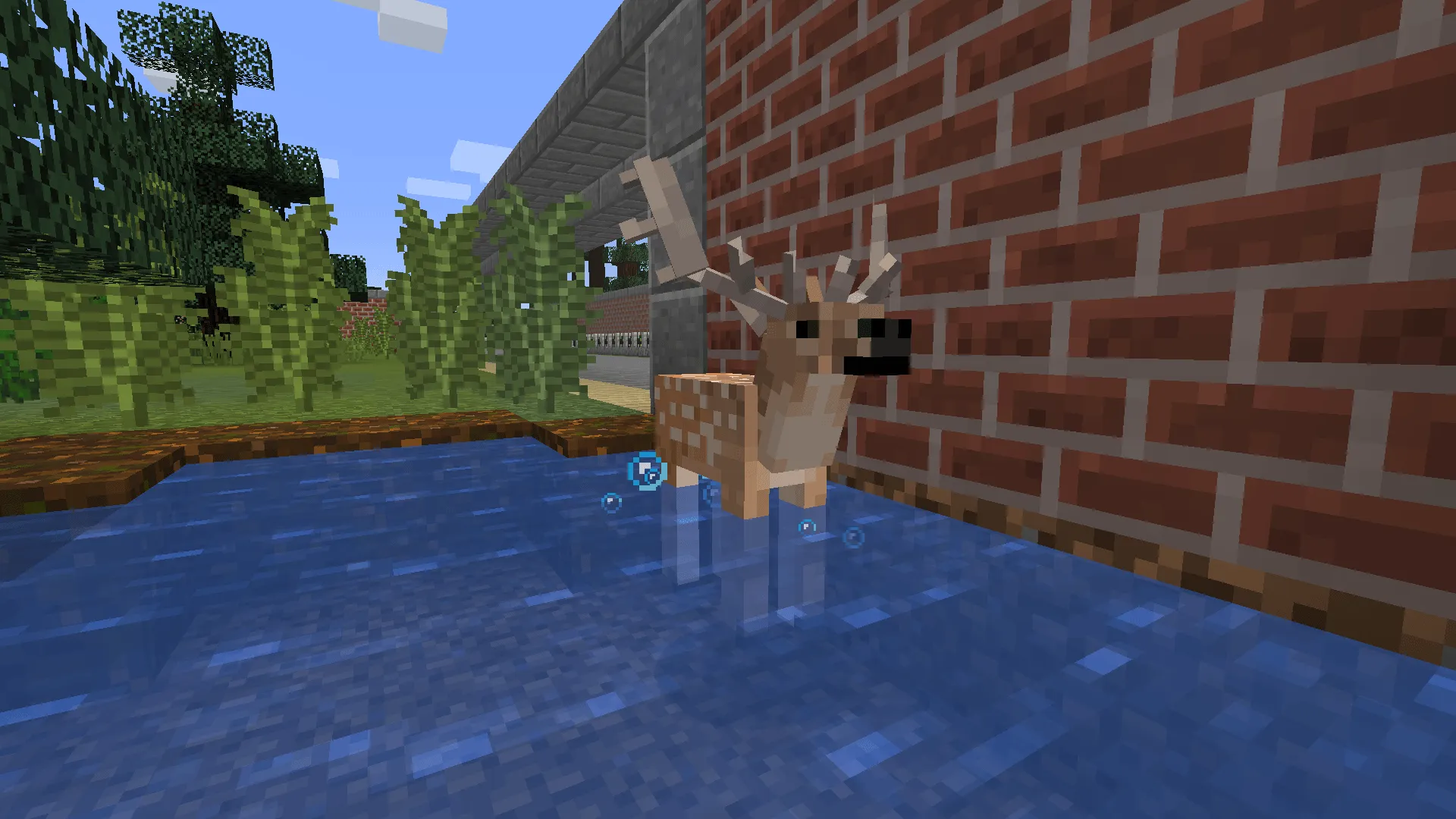 European Wildlife — скриншот 13 (Моды, Minecraft)