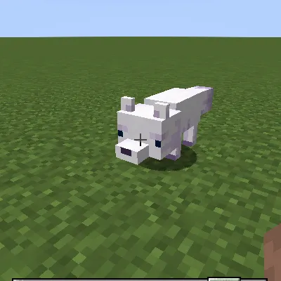 Purple Fox