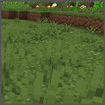 Dry grass textures for short  and tall grass