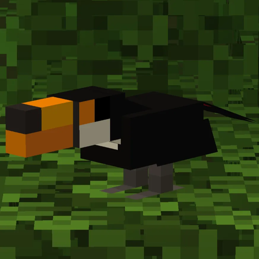 Custom Model Birds