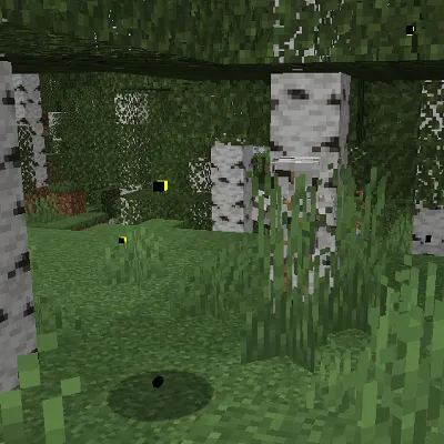 Forest update