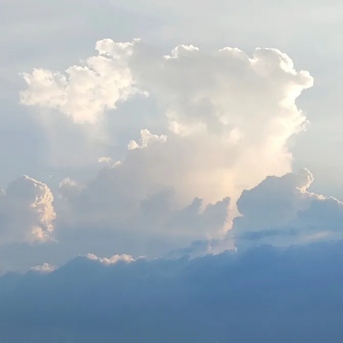 Fly in the sky