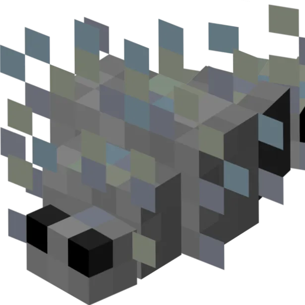 Silverfish Infestation