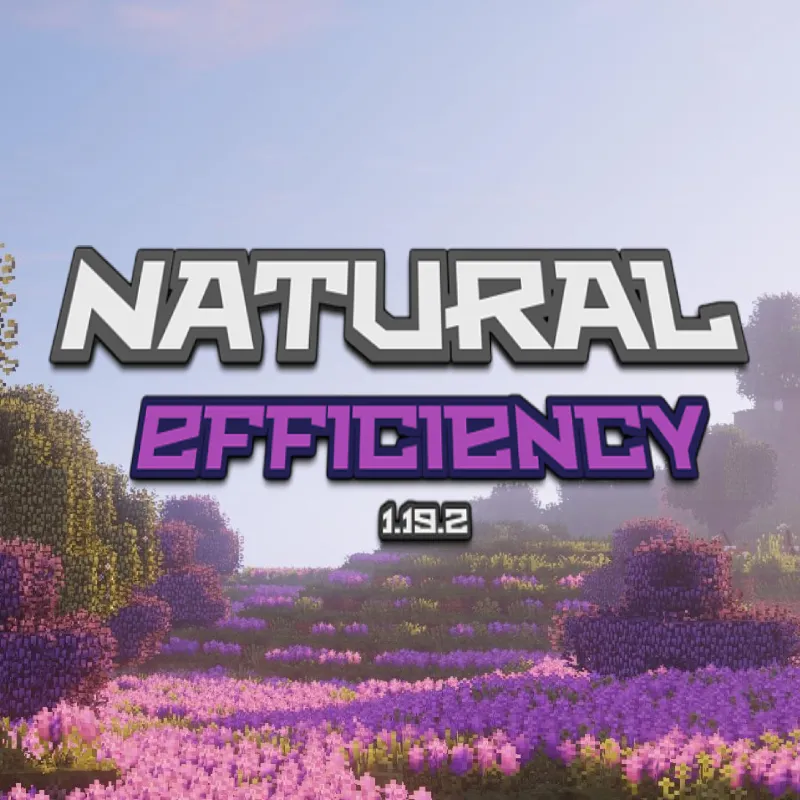 Natural Efficiency