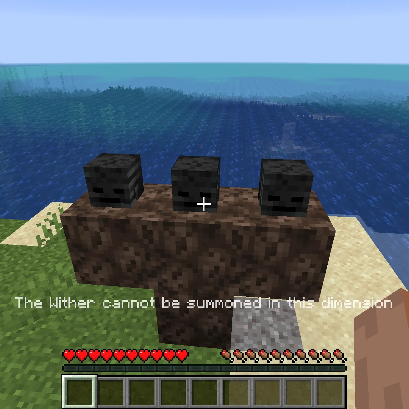 Wither Dimension Filter (Forge)