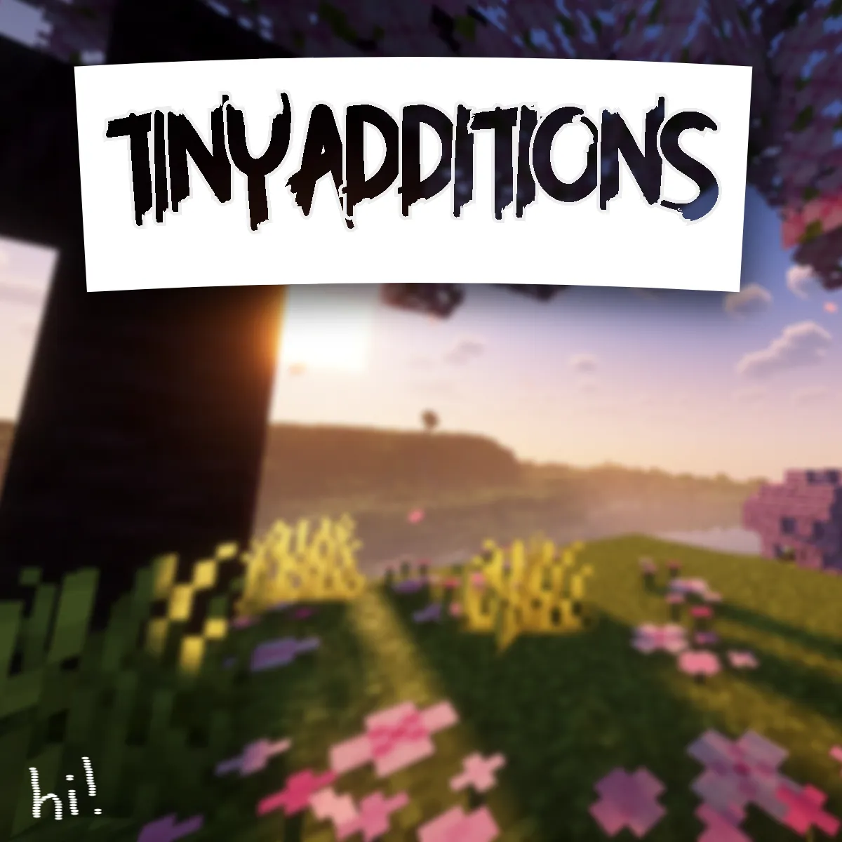 Tiny+ Additions