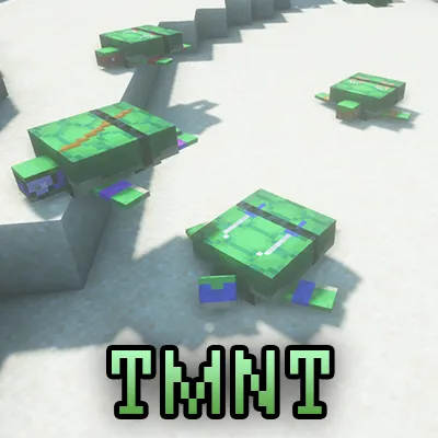 Teenage Mutant Ninja Turtles Pack