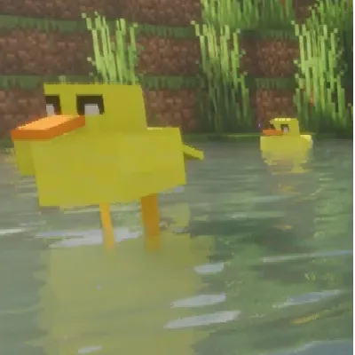 Ducky Quack Pack