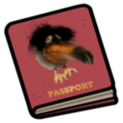 create your passport