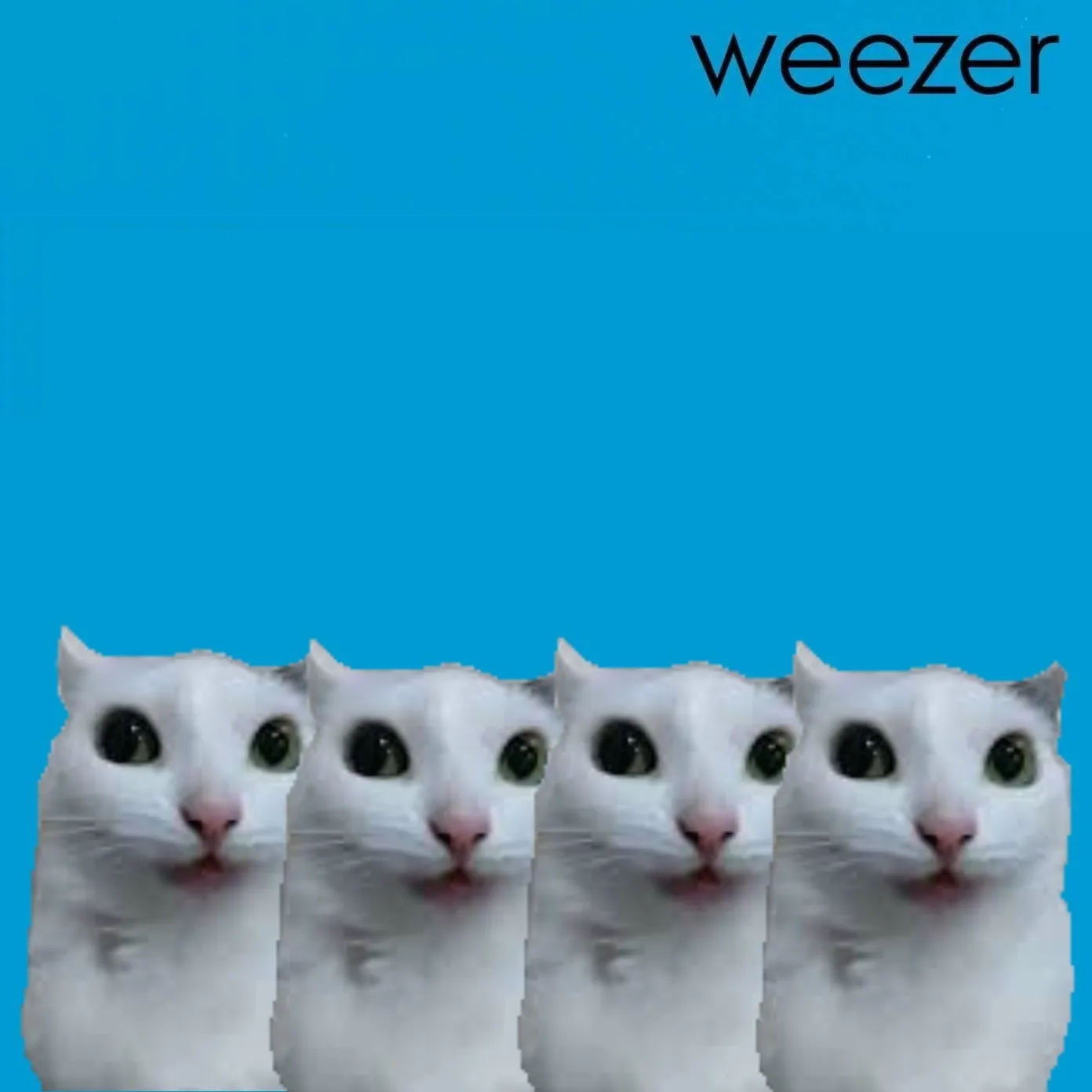 kittycraft :)