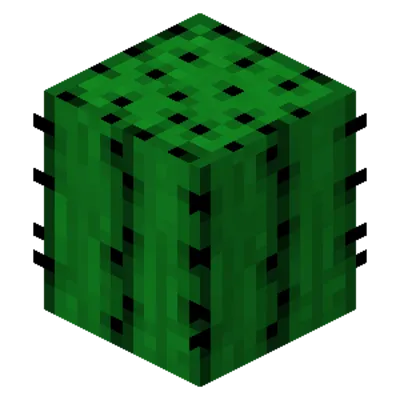Rattes Cactus Everyting Моды