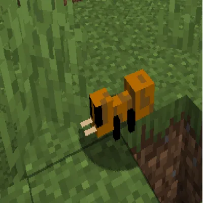 Robby's General Biome Improvements