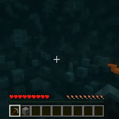 XRAY FOR BIOMES  NEWEST