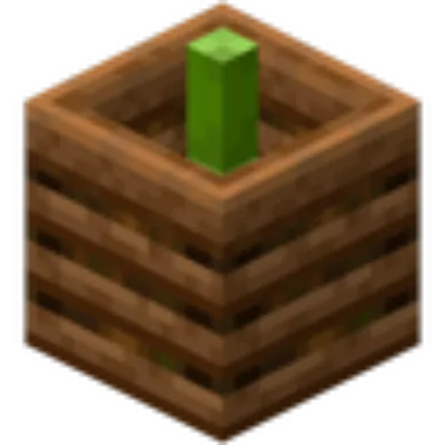 Compostable Bamboo