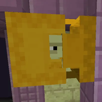 Colorful Shulkers