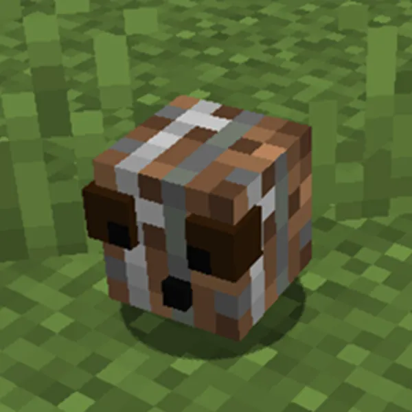 Block Buddy