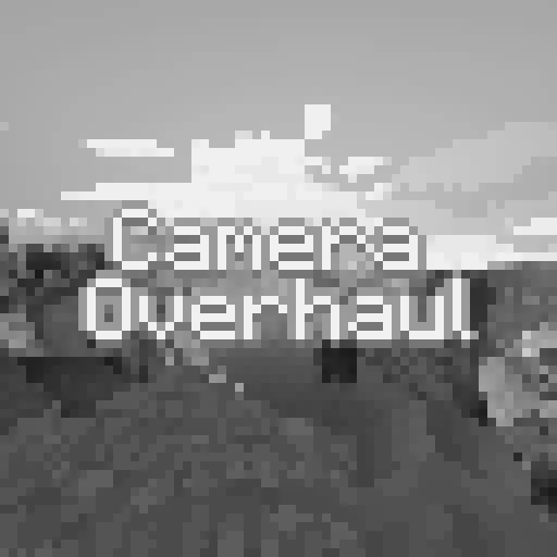 CameraOverhaul (Vintage)