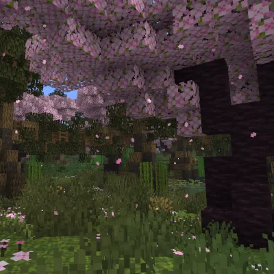 Highland Cherry Swamp