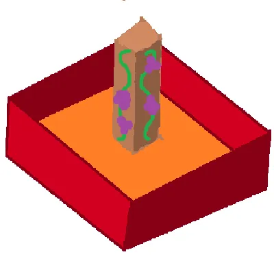 VineryBotany