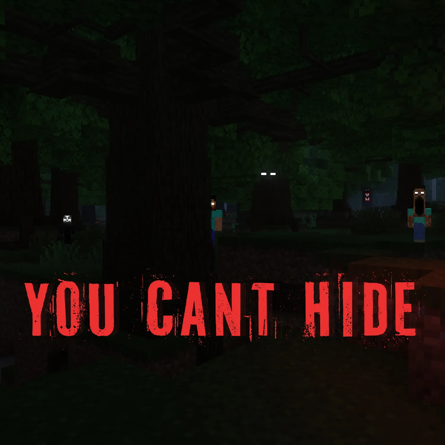 You Cant Hide