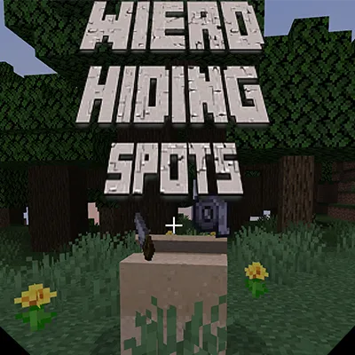 Wierd Hiding Spots