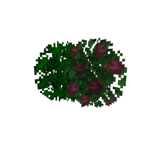 Isle of Berk bushy leaves