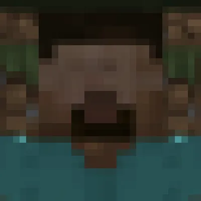 The Unknow Steve