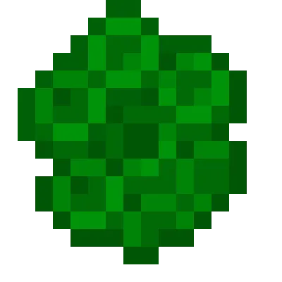 Chlorophyll