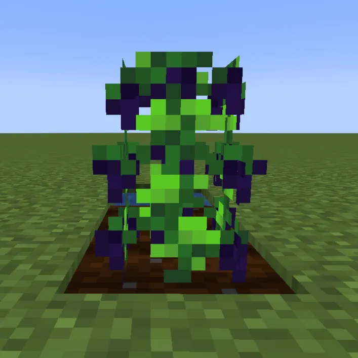 Mama's Herbs and Harvest