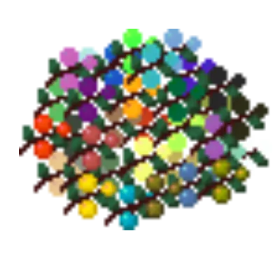 Effect Berries