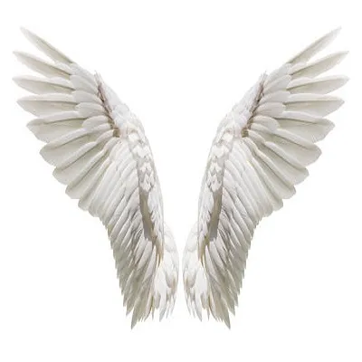 fly me up to the sky