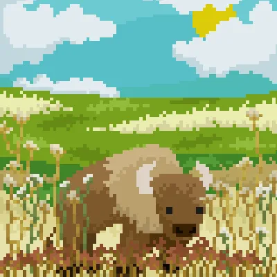 bison(cow)