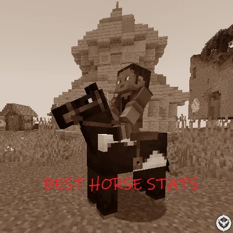 Find Best Horse Stats