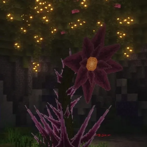 Fabri’s Frontiers Boss Music