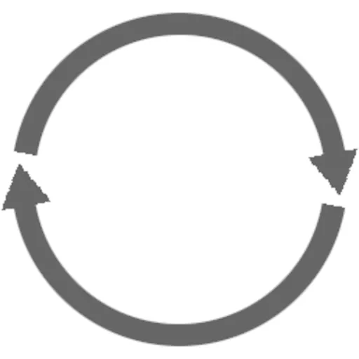 The Cycle