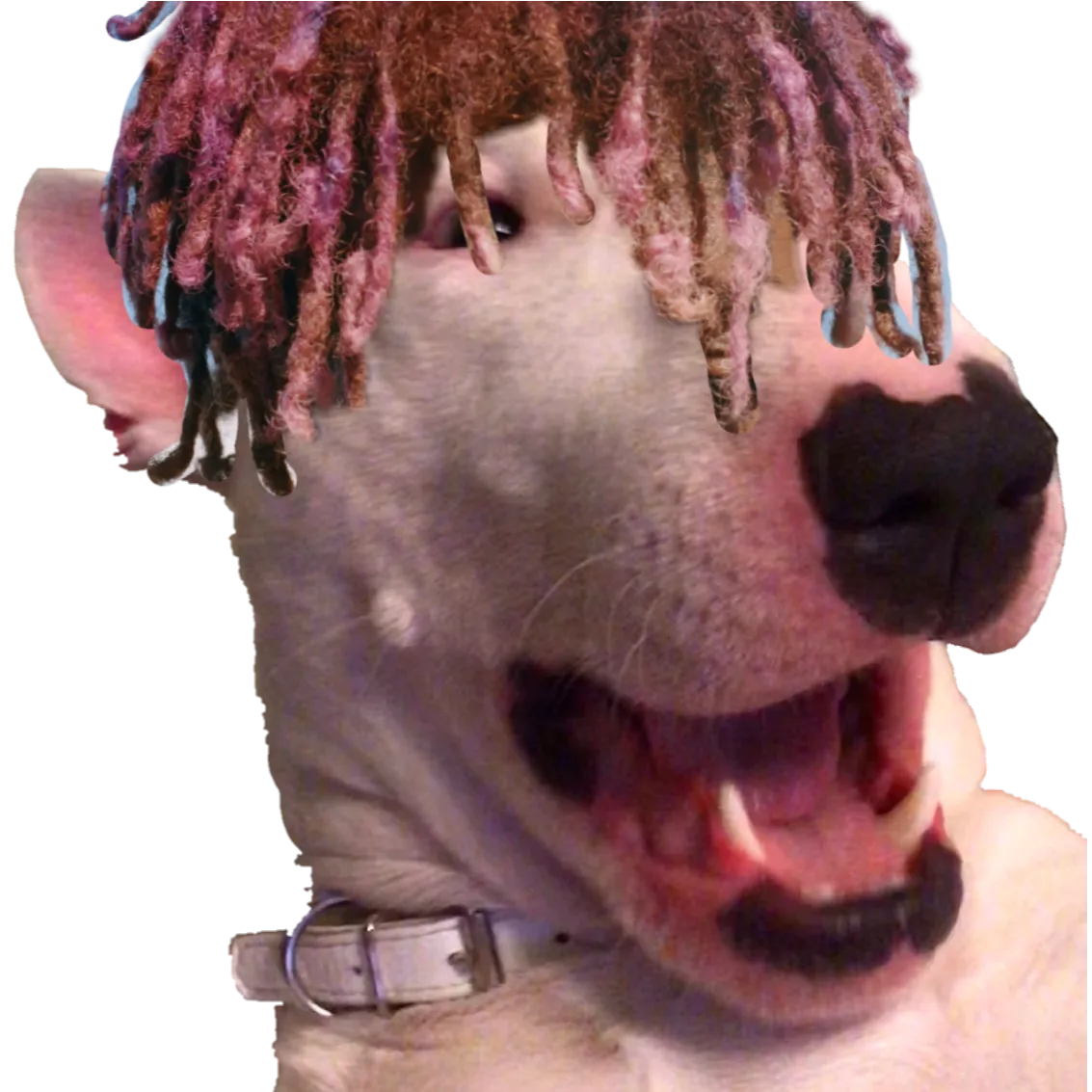 WalterCraftMod